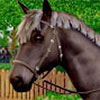 Shy'm decouvre les nouveautes du jeu Les Sims 3 : Animaux et Cie (3DS, PS3, Xbox 360, Mac, PC)