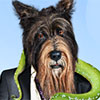 Trevor presente Les Sims 3 : Animaux & Cie (3DS, PS3, Xbox 360, Mac, PC)