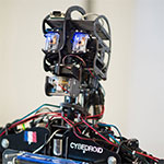 Innorobo 2013