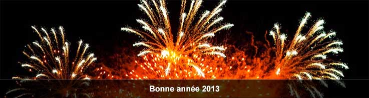 Bonne année 2013